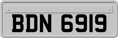 BDN6919