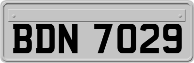 BDN7029
