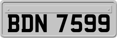 BDN7599