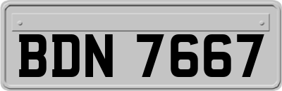 BDN7667