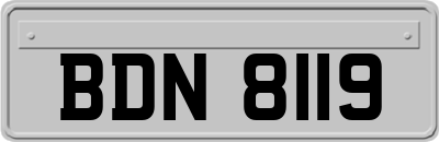 BDN8119