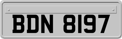 BDN8197