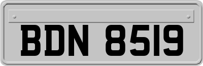 BDN8519