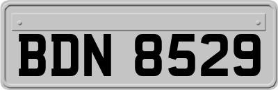 BDN8529