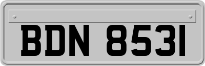 BDN8531