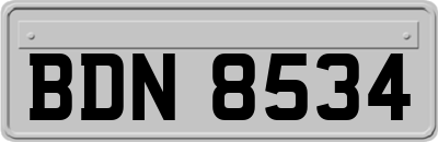 BDN8534