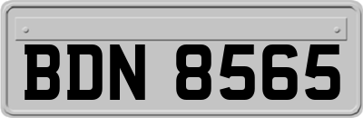BDN8565