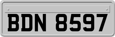 BDN8597