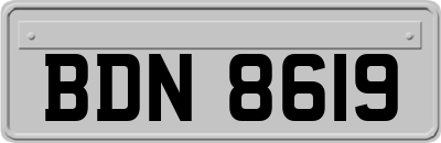 BDN8619