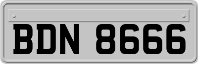 BDN8666