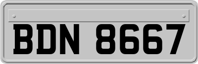 BDN8667