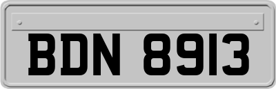 BDN8913