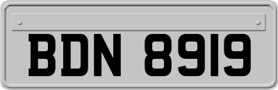 BDN8919