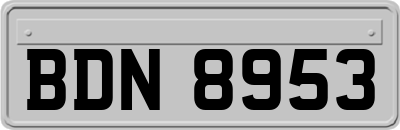 BDN8953