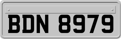 BDN8979