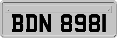 BDN8981