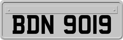 BDN9019