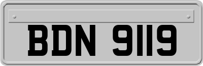 BDN9119