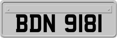 BDN9181