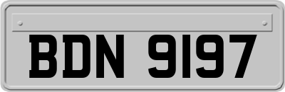 BDN9197