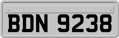BDN9238