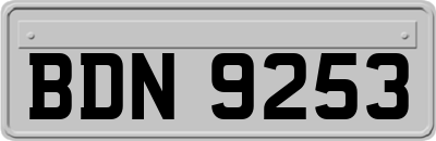 BDN9253