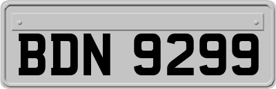 BDN9299