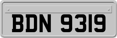 BDN9319