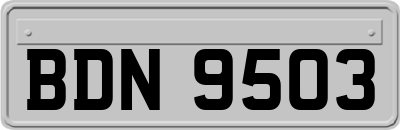 BDN9503