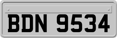 BDN9534