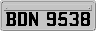 BDN9538