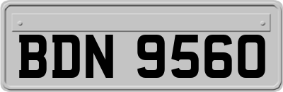 BDN9560