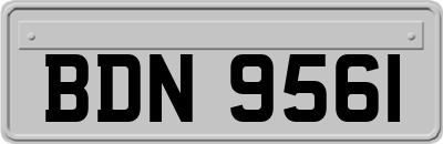 BDN9561