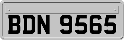 BDN9565