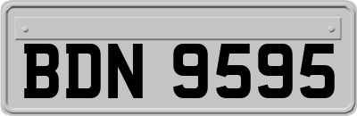 BDN9595