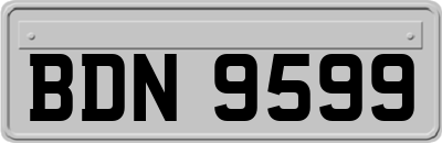 BDN9599