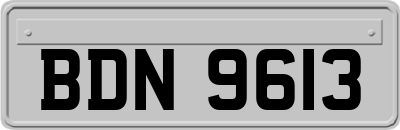 BDN9613