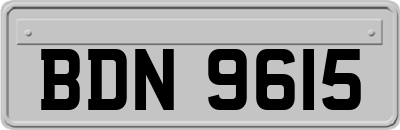 BDN9615