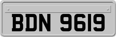 BDN9619