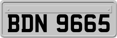 BDN9665