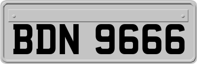 BDN9666