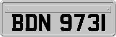BDN9731