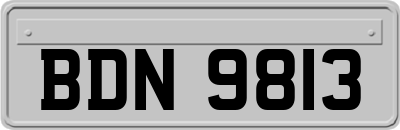 BDN9813