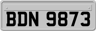 BDN9873