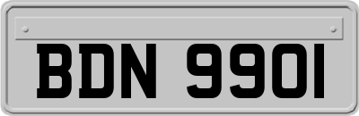 BDN9901