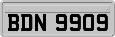 BDN9909