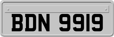 BDN9919