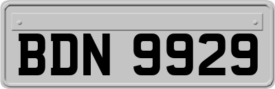 BDN9929