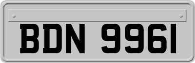 BDN9961