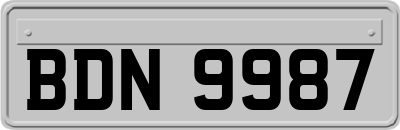 BDN9987